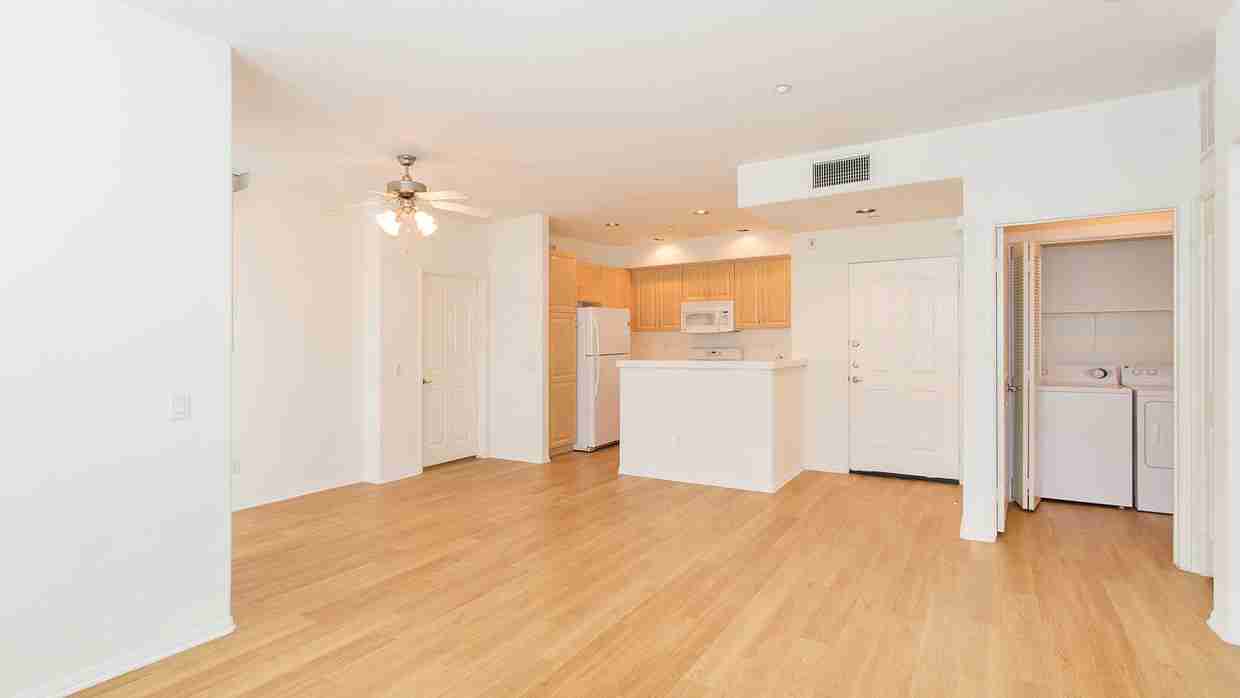 Spacious floor plan with in-unit laundry closet