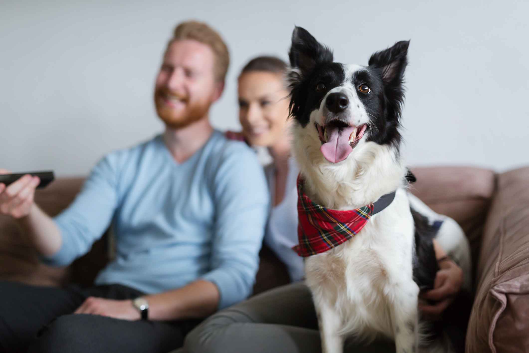 Pet friendly apartment living at Via Ventura Apartments